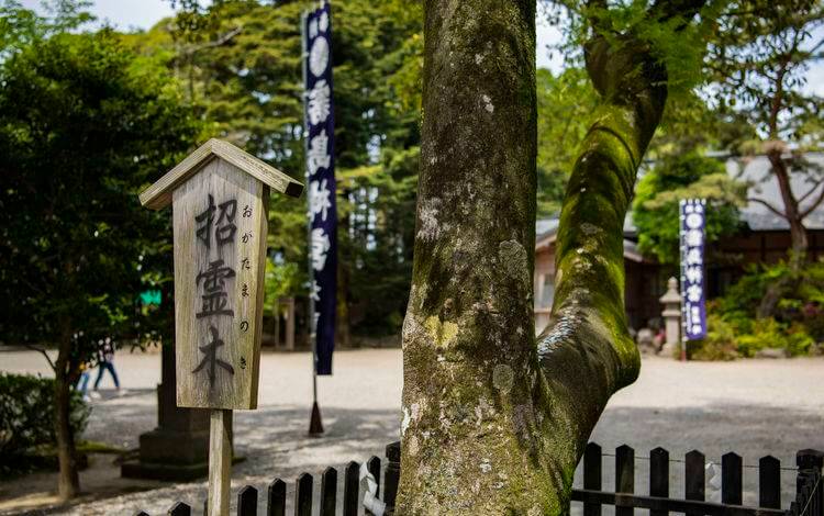 遊走在九州 霧島神宮