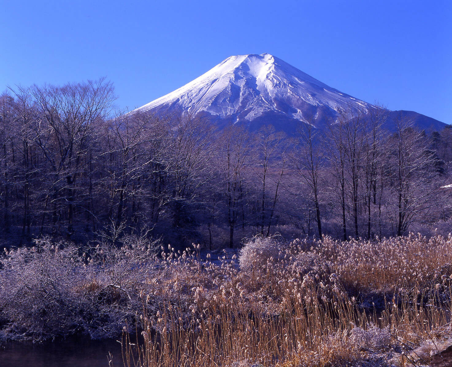 千姿百態富士山