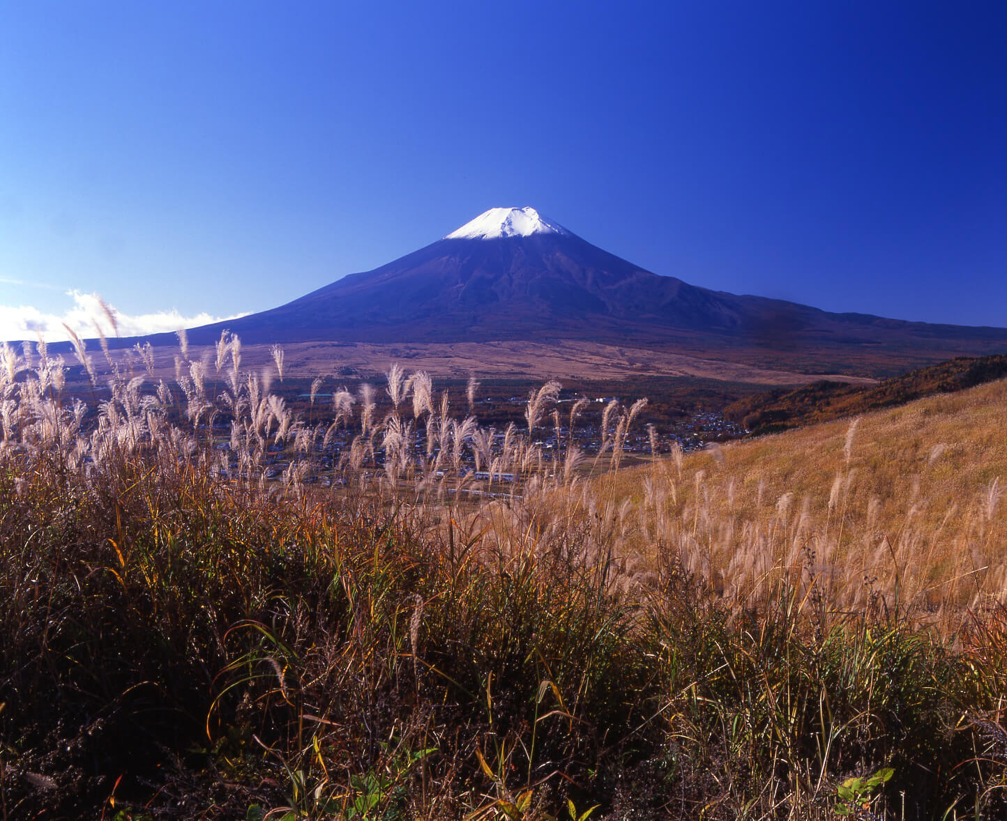 千姿百態富士山