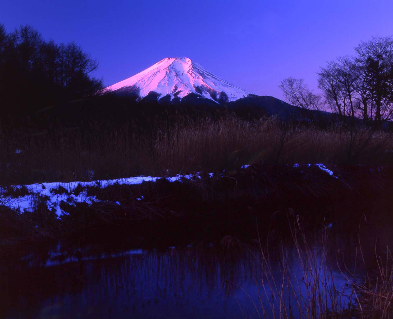 千姿百態富士山