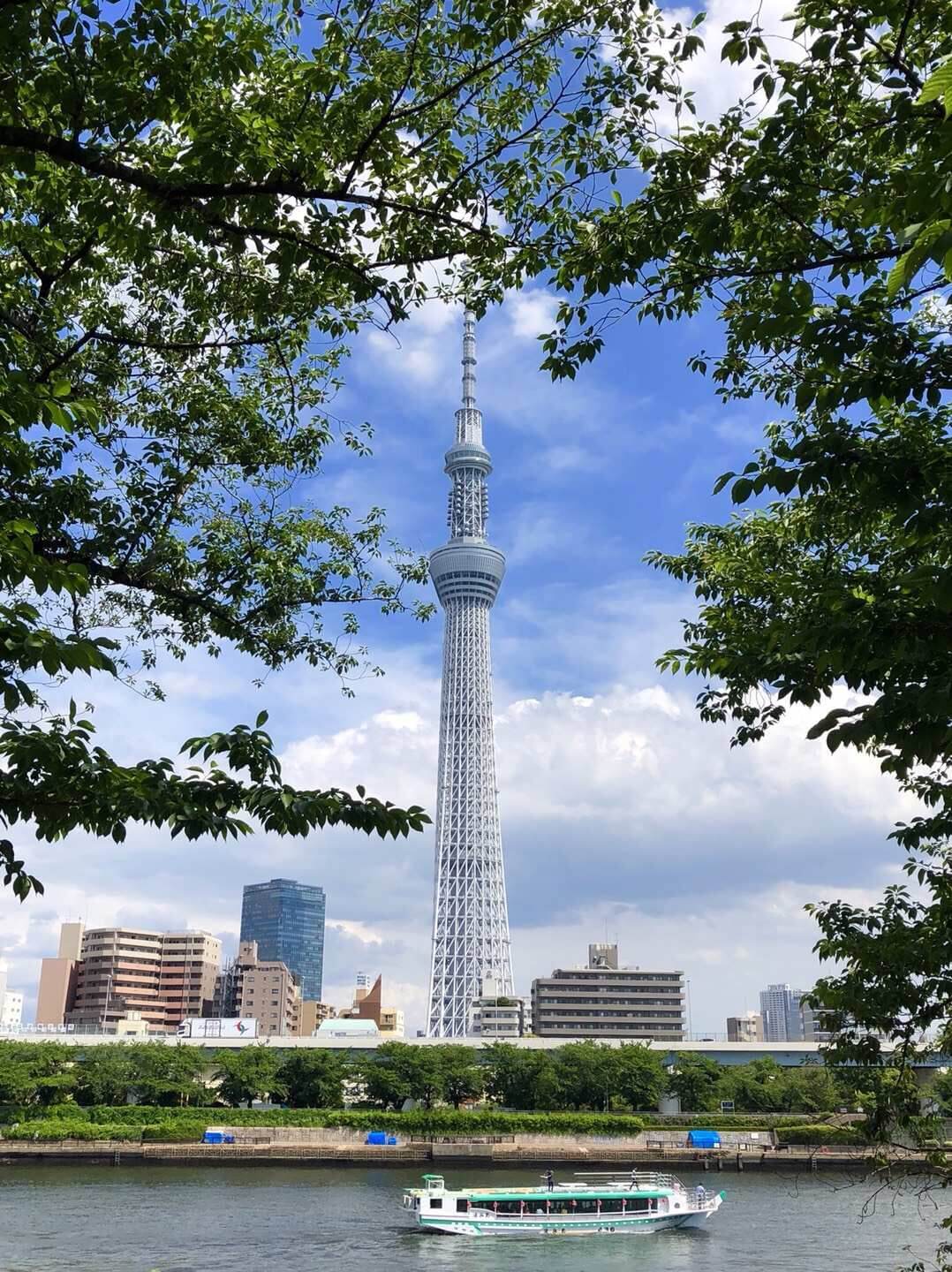 東京都都廳（照片：客觀日本編輯部）