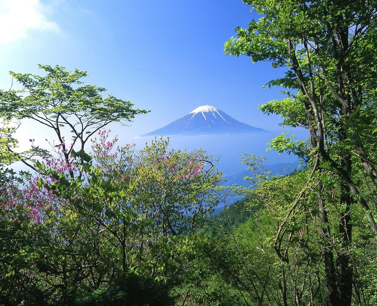 千姿百態富士山