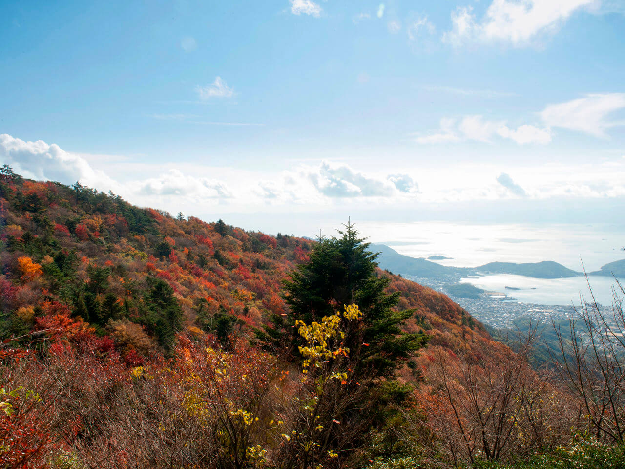 秋色如錦的小豆島寒霞溪：怪石、紅葉、瀨戶內海織就的溪谷美景