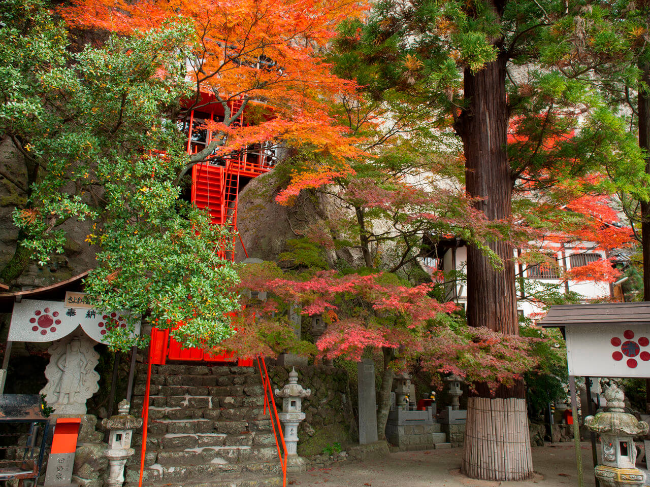 秋色如錦的小豆島寒霞溪：怪石、紅葉、瀨戶內海織就的溪谷美景