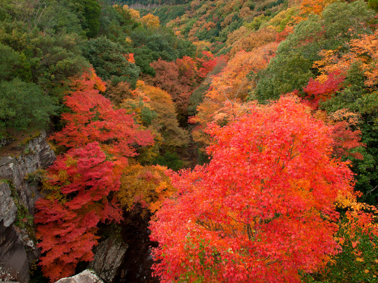 秋色如錦的小豆島寒霞溪：怪石、紅葉、瀨戶內海織就的溪谷美景