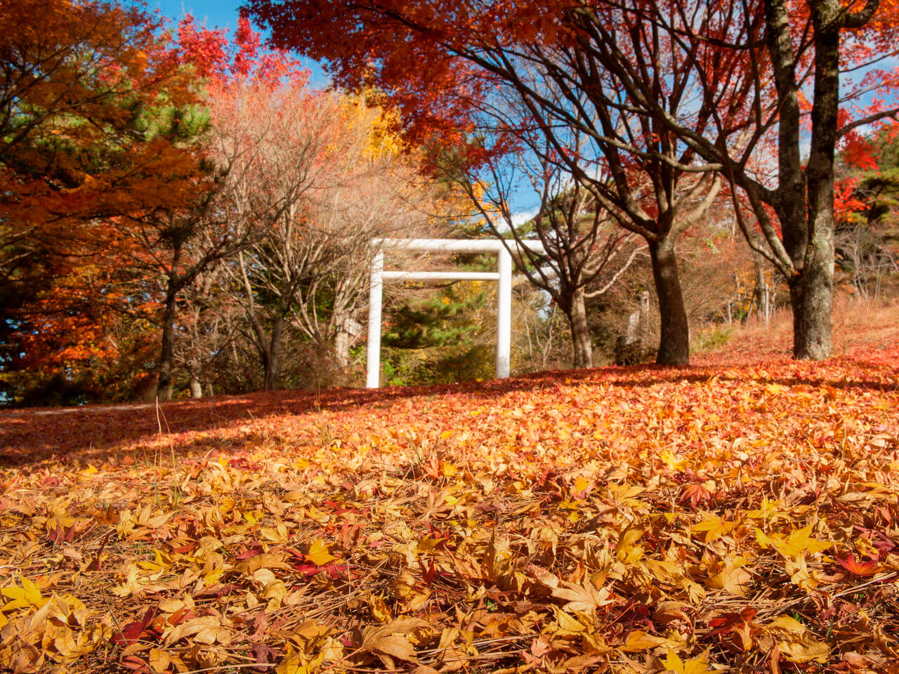 秋色如錦的小豆島寒霞溪：怪石、紅葉、瀨戶內海織就的溪谷美景