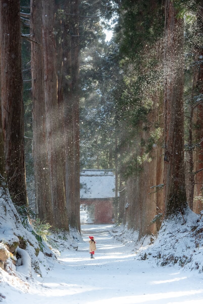 孩子與雪