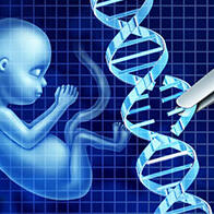 日本文部科學省等彙總報告書：建議立法管控「基因組編輯嬰兒」，對受精胚胎的子宮移植制定罰則