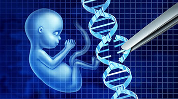 日本文部科學省等彙總報告書：建議立法管控「基因組編輯嬰兒」，對受精胚胎的子宮移植制定罰則